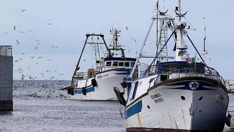 Pesca a strascico limitata dall'Europa: le marinerie italiane protestano Pesca a strascico limitata dall'Europa: le marinerie italiane protestano