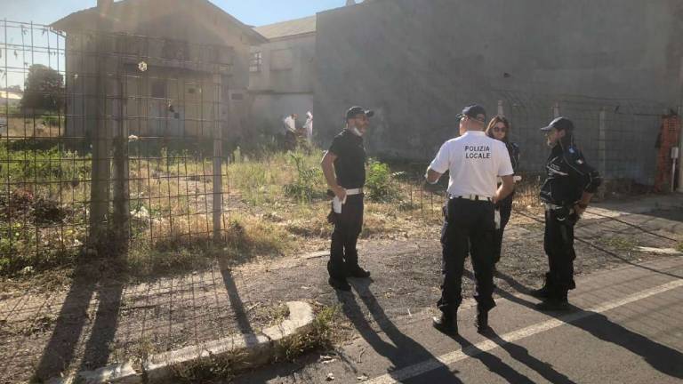 Cesena, partorisce 7 figli: tolti uno dopo l'altro per proteggerli Cesena, partorisce 7 figli: tolti uno dopo l'altro per proteggerli