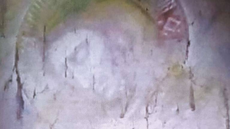 Il Cristo di Verucchio, un affresco eccezionale Il Cristo di Verucchio, un affresco eccezionale