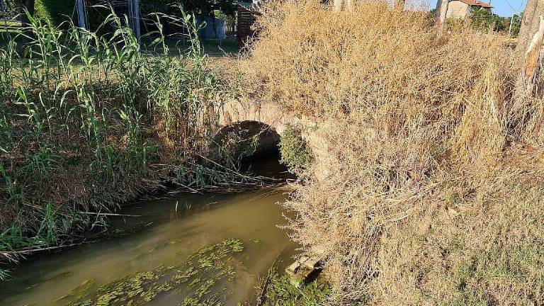 Cesena, ponticello da salvare o no? Deciderà la Soprintendenza Cesena, ponticello da salvare o no? Deciderà la Soprintendenza