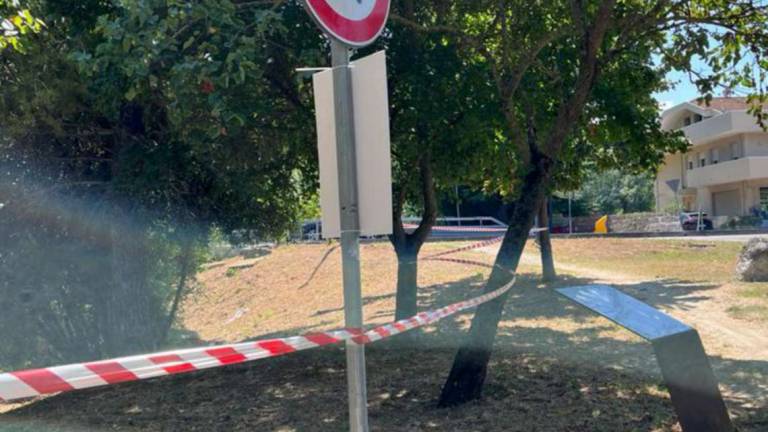 Riccione. Capriolo pericoloso, il Comune restringe la passeggiata Riccione. Capriolo pericoloso, il Comune restringe la passeggiata