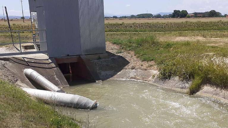 Siccità, nella Romagna occidentale la piovosità è calata del 69% Siccità, nella Romagna occidentale la piovosità è calata del 69%