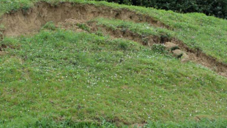 Longiano, frana e steccato abbattuto per il maltempo Longiano, frana e steccato abbattuto per il maltempo