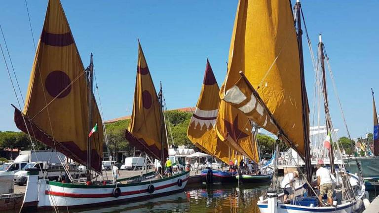 Richiesta da Cesenatico: le vele al terzo patrimonio dell'Unesco Richiesta da Cesenatico: le vele al terzo patrimonio dell'Unesco