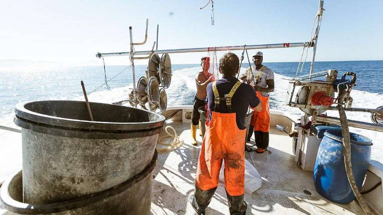 La flotta dei sette pescherecci che ‘pescano’ rifiuti in acqua La flotta dei sette pescherecci che ‘pescano’ rifiuti in acqua