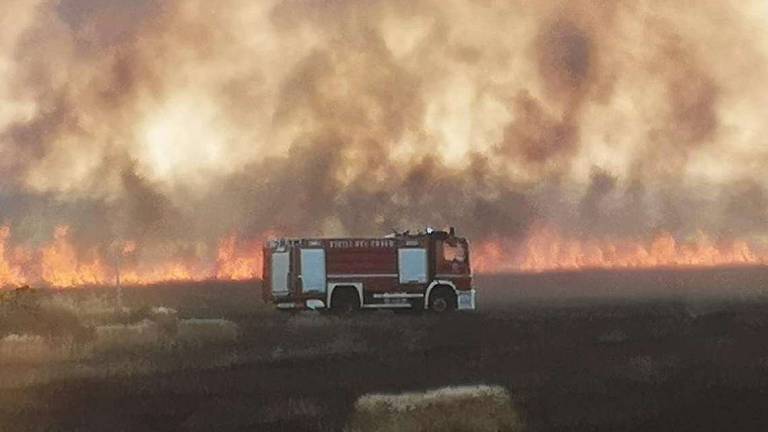 Incendio al Cab di Cervia, colpo di scena: il testimone chiave ritratta le accuse Incendio al Cab di Cervia, colpo di scena: il testimone chiave ritratta le accuse