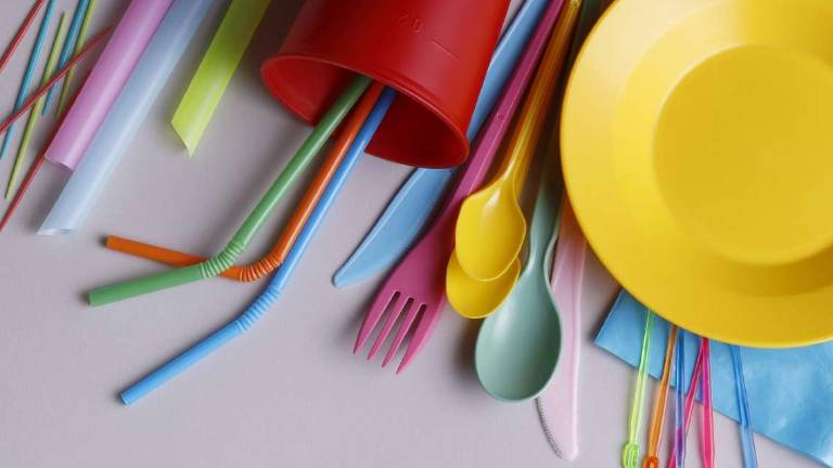Addio plastica monouso per un italiano su quattro Addio plastica monouso per un italiano su quattro