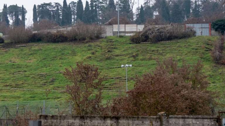 Imola, dalla Tosa al monumento l'autodromo diventa un cantiere Imola, dalla Tosa al monumento l'autodromo diventa un cantiere