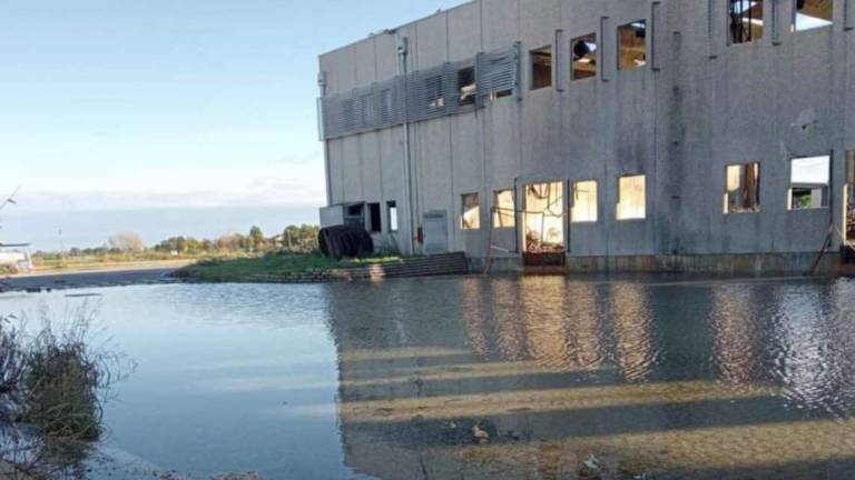 Faenza, via alla bonifica della Lotras. L'azienda resterà Faenza, via alla bonifica della Lotras. L'azienda resterà