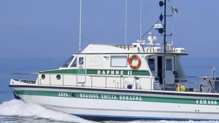 In romagna un'estate di alluvioni e giornate tropicali, ma il mare resiste: Buona condizione ambientale In romagna un'estate di alluvioni e giornate tropicali, ma il mare resiste: Buona condizione ambientale