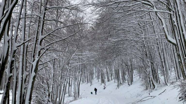 Forlì, coppia di Cesenatico si perde nella bufera di neve a Corniolo Forlì, coppia di Cesenatico si perde nella bufera di neve a Corniolo