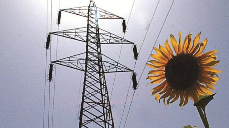 La pandemia ha ridotto i consumi energetici La pandemia ha ridotto i consumi energetici