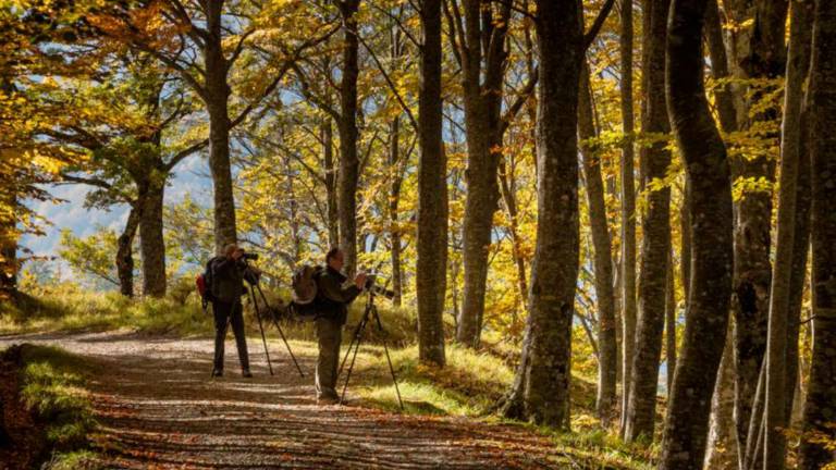 Consiglio Parco nazionale, indicate le 2 donne dopo più di un anno Consiglio Parco nazionale, indicate le 2 donne dopo più di un anno