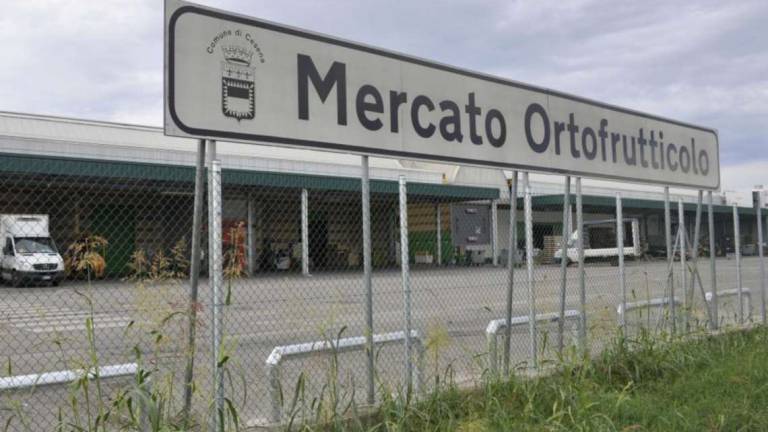 Cesena sperimenterà nuovi orari per il mercato ortofrutticolo Cesena sperimenterà nuovi orari per il mercato ortofrutticolo