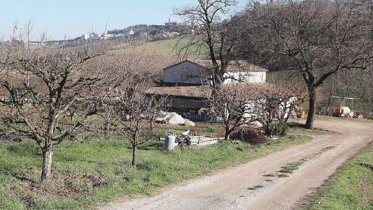 Longiano, rubano cassaforte, la aprono nel casolare ma è vuota Longiano, rubano cassaforte, la aprono nel casolare ma è vuota