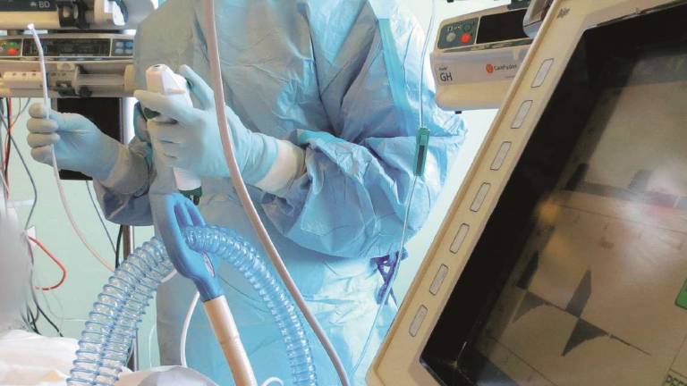 Cesena, Covid stronca due vite di mezza età e infetta 140 persone Cesena, Covid stronca due vite di mezza età e infetta 140 persone