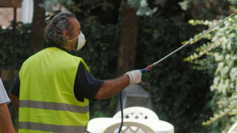 Cesenatico: partono le operazioni di contrasto alla zanzara tigre Cesenatico: partono le operazioni di contrasto alla zanzara tigre