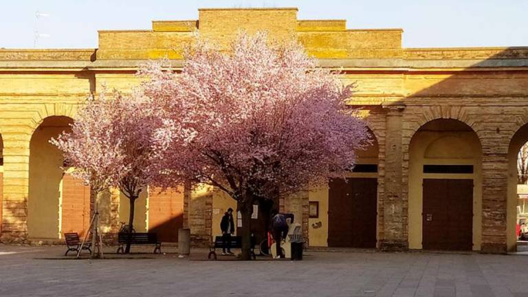 Forlimpopoli, premiazione del contest “L'arte si fa spazio Forlimpopoli, premiazione del contest “L'arte si fa spazio