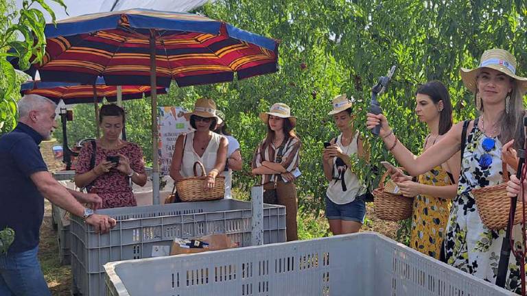 Influencer in campo per la frutta bio di Cesena Influencer in campo per la frutta bio di Cesena
