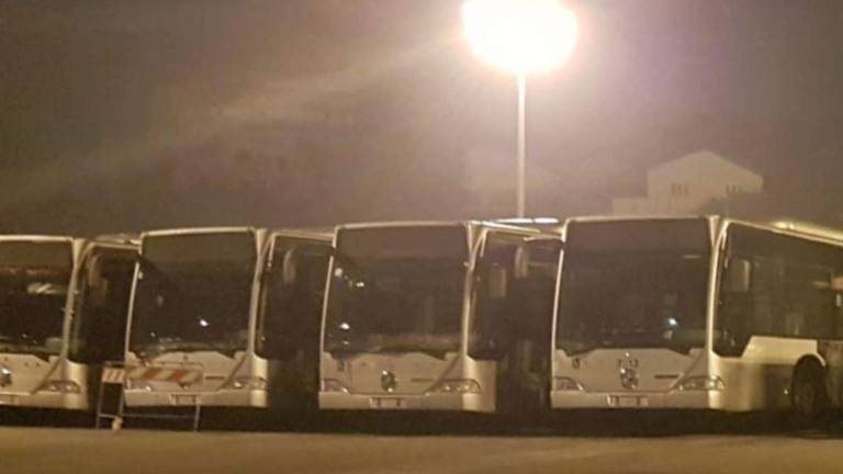 Cesena, forzano l'apertura dei bus in sosta e ci passano le serate: minori denunciati a Calisese, Budrio e Sogliano Cesena, forzano l'apertura dei bus in sosta e ci passano le serate: minori denunciati a Calisese, Budrio e Sogliano