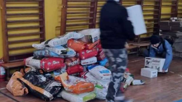 Forlì. Guerra, missione salvezza animali Forlì. Guerra, missione salvezza animali