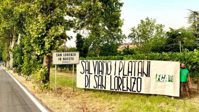Forlì. Strada del Rabbi da rifare, protestano gli ecologisti Forlì. Strada del Rabbi da rifare, protestano gli ecologisti