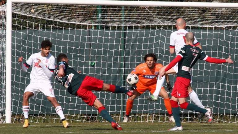 Calcio D, Germinale: I gol? Io voglio vincere col Rimini Calcio D, Germinale: I gol? Io voglio vincere col Rimini