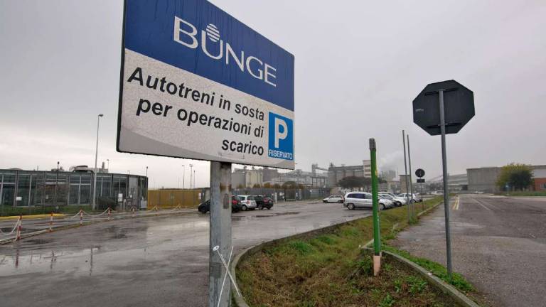 Ravenna, caro energia: Bunge ferma un impianto fino a fine novembre Ravenna, caro energia: Bunge ferma un impianto fino a fine novembre