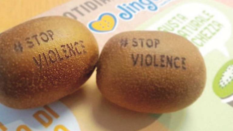 Cesena, i kiwi pacifisti con un messaggio sulla buccia Cesena, i kiwi pacifisti con un messaggio sulla buccia