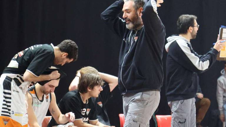 Basket B, dai sogni di A2 alla crisi: Tigers in caduta libera Basket B, dai sogni di A2 alla crisi: Tigers in caduta libera