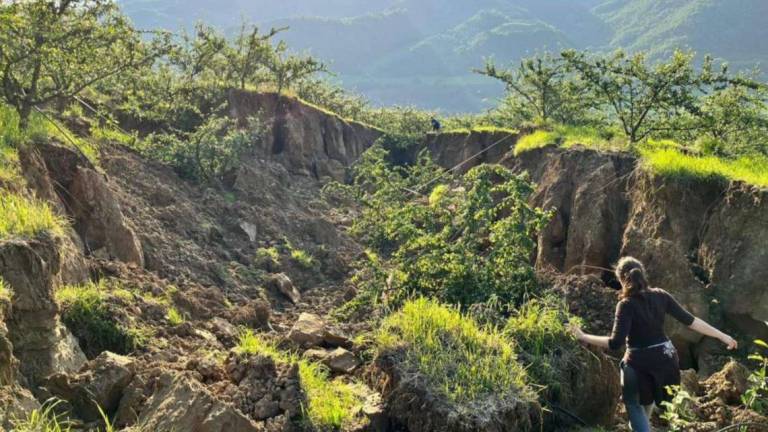 Imola, voragini di 5 metri nei campi: Frane come un terremoto Imola, voragini di 5 metri nei campi: Frane come un terremoto