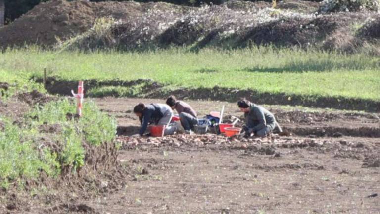 Cesena: dagli scavi nel cantiere riemergono reperti di epoca romana Cesena: dagli scavi nel cantiere riemergono reperti di epoca romana