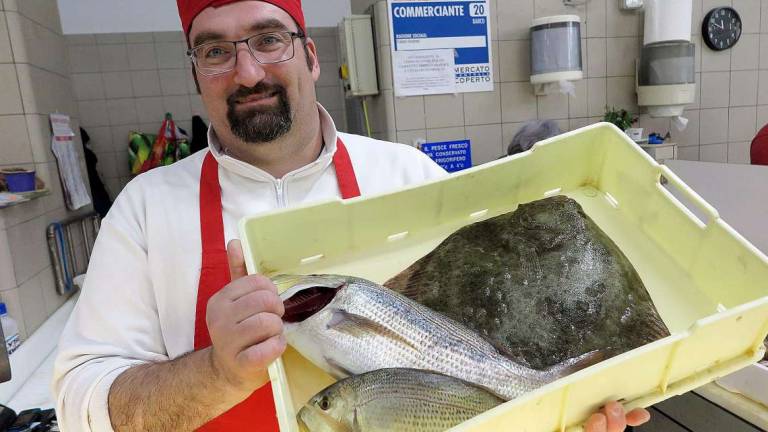 Rimini, la pesca riparte: Ma noi siamo già sul lastrico Rimini, la pesca riparte: Ma noi siamo già sul lastrico