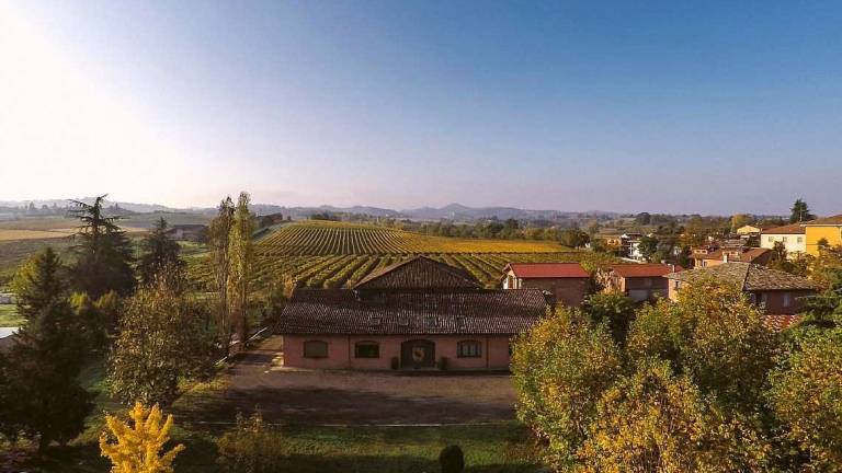 Lodi Corazza, vino artigianale nell'Emilia delle tradizioni Lodi Corazza, vino artigianale nell'Emilia delle tradizioni