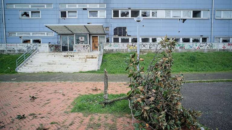 Vecchia Questura, durissimo attacco di Rimini Life al sindaco: Alza fumo e non tutela l'interesse pubblico Vecchia Questura, durissimo attacco di Rimini Life al sindaco: Alza fumo e non tutela l'interesse pubblico
