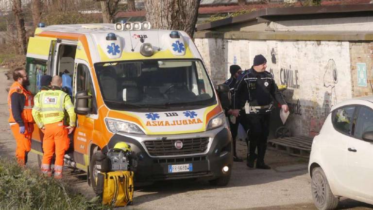 Ravenna, sarà rieducato il pitbull che ha aggredito il bimbo Ravenna, sarà rieducato il pitbull che ha aggredito il bimbo
