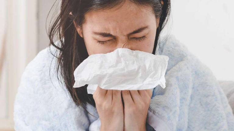 Virus influenzali, fanno il giro del mondo e tornano sempre mutati Virus influenzali, fanno il giro del mondo e tornano sempre mutati