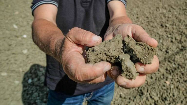 Siccità, per Romagna Acque Ravennate più a rischio Siccità, per Romagna Acque Ravennate più a rischio