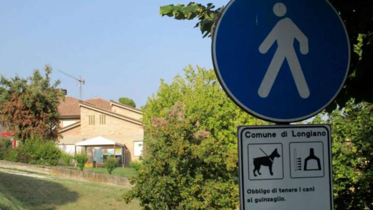 Morsa in faccia da un cane a Longiano: i propietari fuggono Morsa in faccia da un cane a Longiano: i propietari fuggono