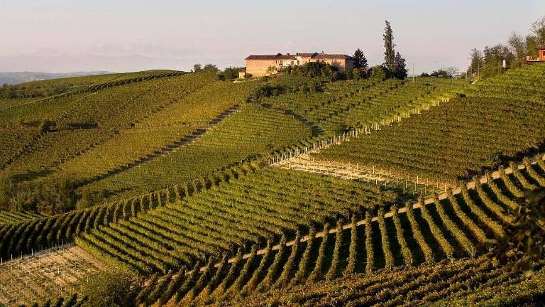 Il primo cru e i grandi terroir Vietti, una storia centenaria Il primo cru e i grandi terroir Vietti, una storia centenaria