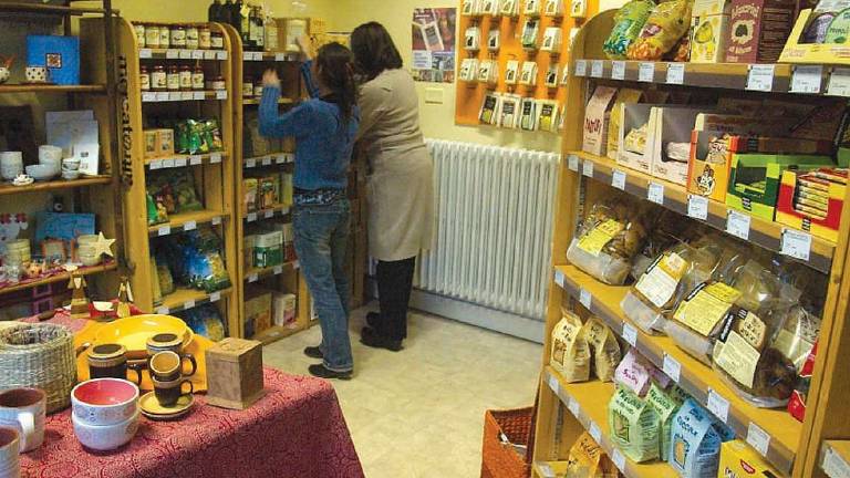 È il cambiamento climatico che mette paura: più del Covid È il cambiamento climatico che mette paura: più del Covid