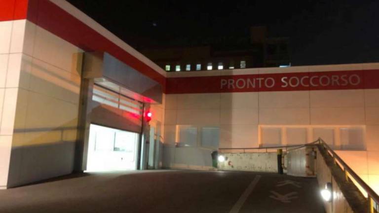 Cesena: si picchiano davanti al figlio di un anno Cesena: si picchiano davanti al figlio di un anno