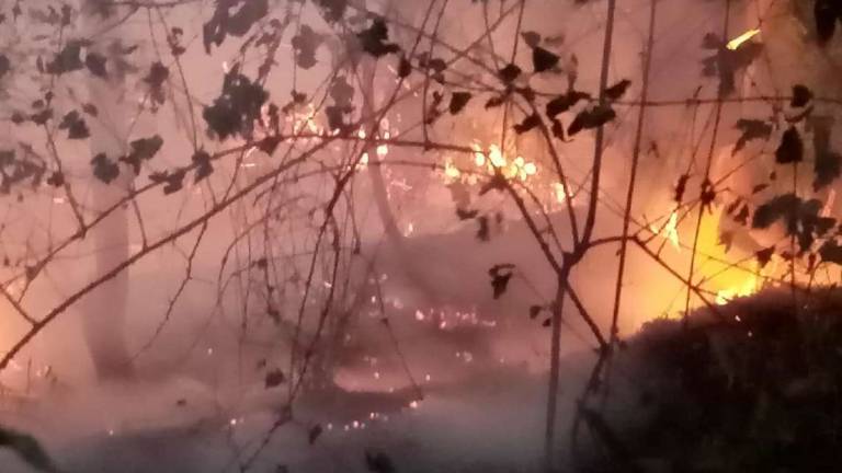 Casola: in fumo 20 ettari di bosco, indagini sul rogo Casola: in fumo 20 ettari di bosco, indagini sul rogo