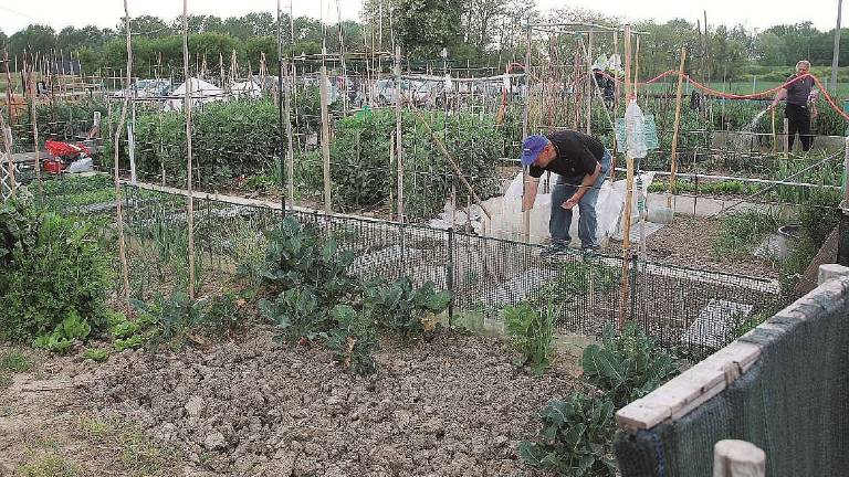 Cesena, orti per anziani: lezioni d'agricoltura e concorso Cesena, orti per anziani: lezioni d'agricoltura e concorso