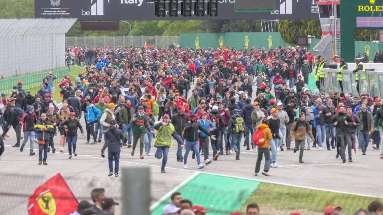 F1, E gli alberi divennero una tribuna vip da veri intenditori F1, E gli alberi divennero una tribuna vip da veri intenditori