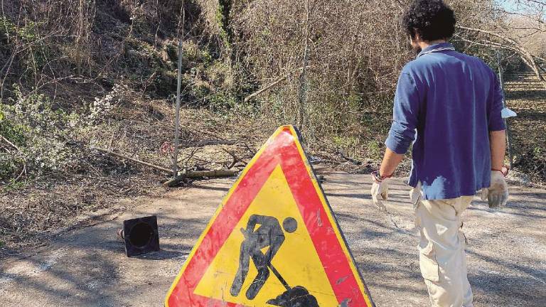 Cesena, lavori a ripetizione per eliminare la giungla a Case Frini Cesena, lavori a ripetizione per eliminare la giungla a Case Frini