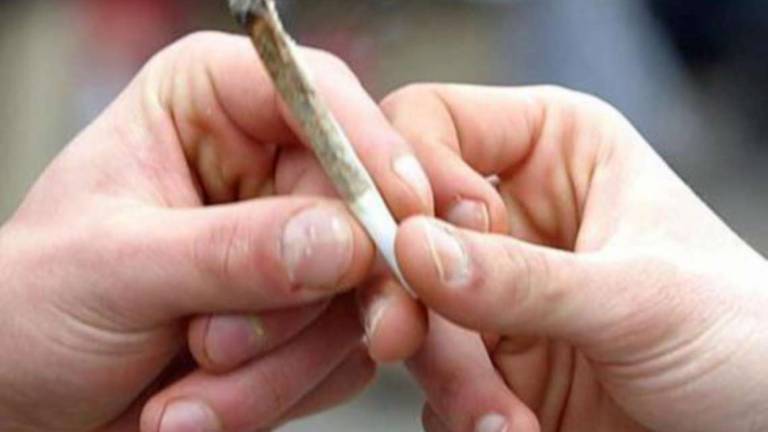 Ravenna, marijuana nell'appartamento in fiamme. Assolti Ravenna, marijuana nell'appartamento in fiamme. Assolti