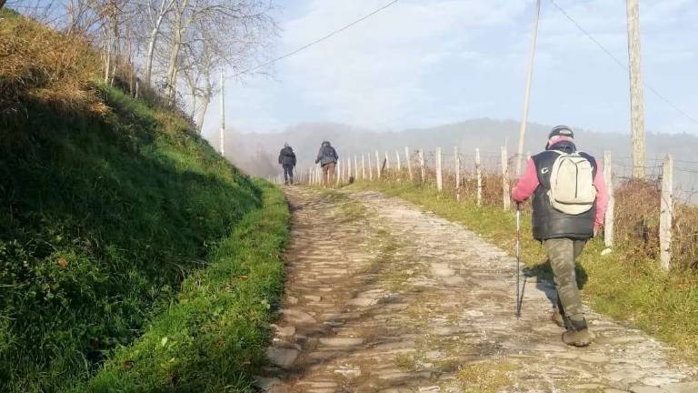 Bagno di Romagna, un progetto per dare voce all'arte popolare Bagno di Romagna, un progetto per dare voce all'arte popolare