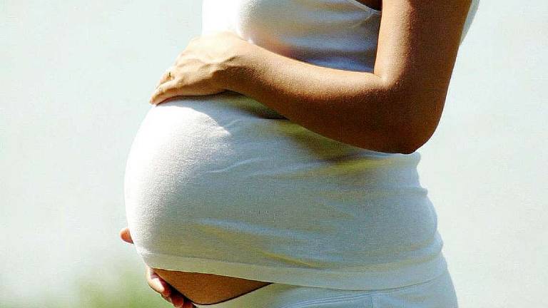 Lo smog in gravidanza influenza l’attività ormonale dei piccoli Lo smog in gravidanza influenza l’attività ormonale dei piccoli