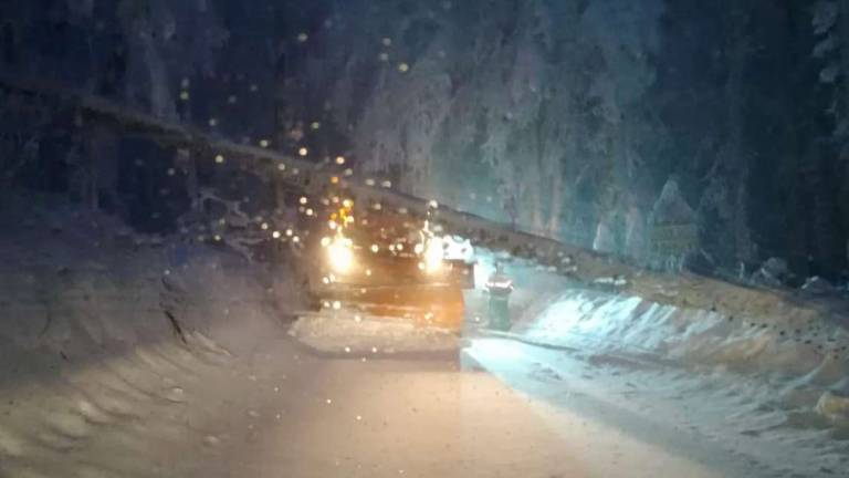 Caduta alberi per neve: chiusa strada per il Fumaiolo Caduta alberi per neve: chiusa strada per il Fumaiolo